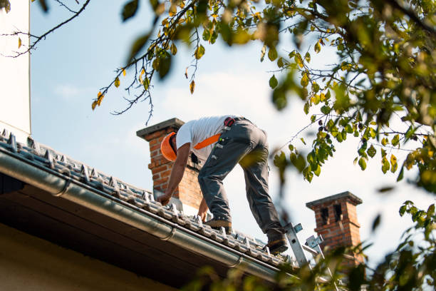 Best Roof Insulation Installation  in Gregory, TX